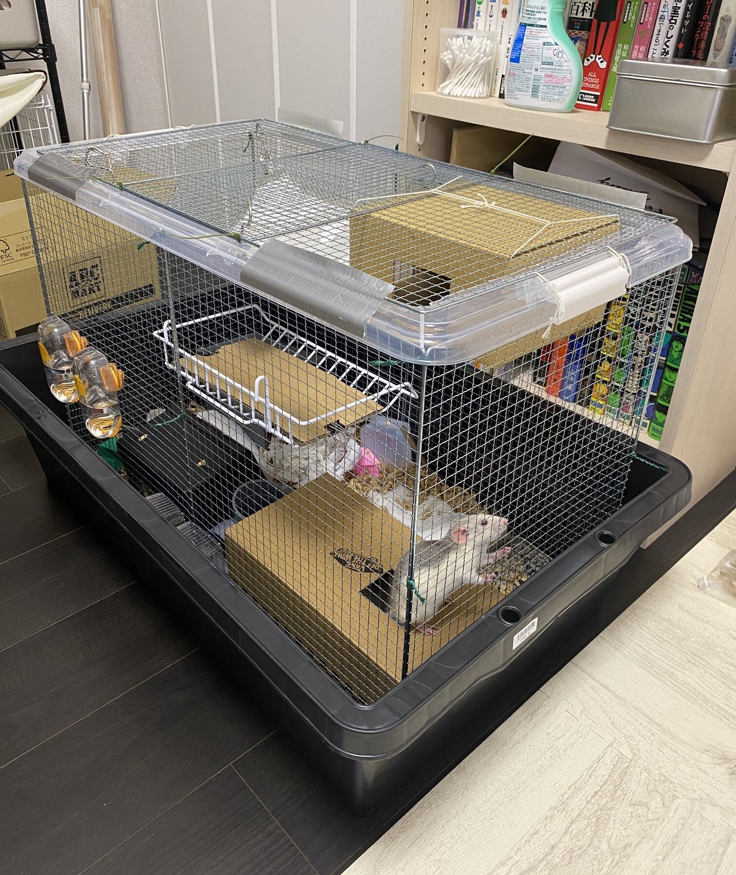 DIYケージを斜め前から見た様子