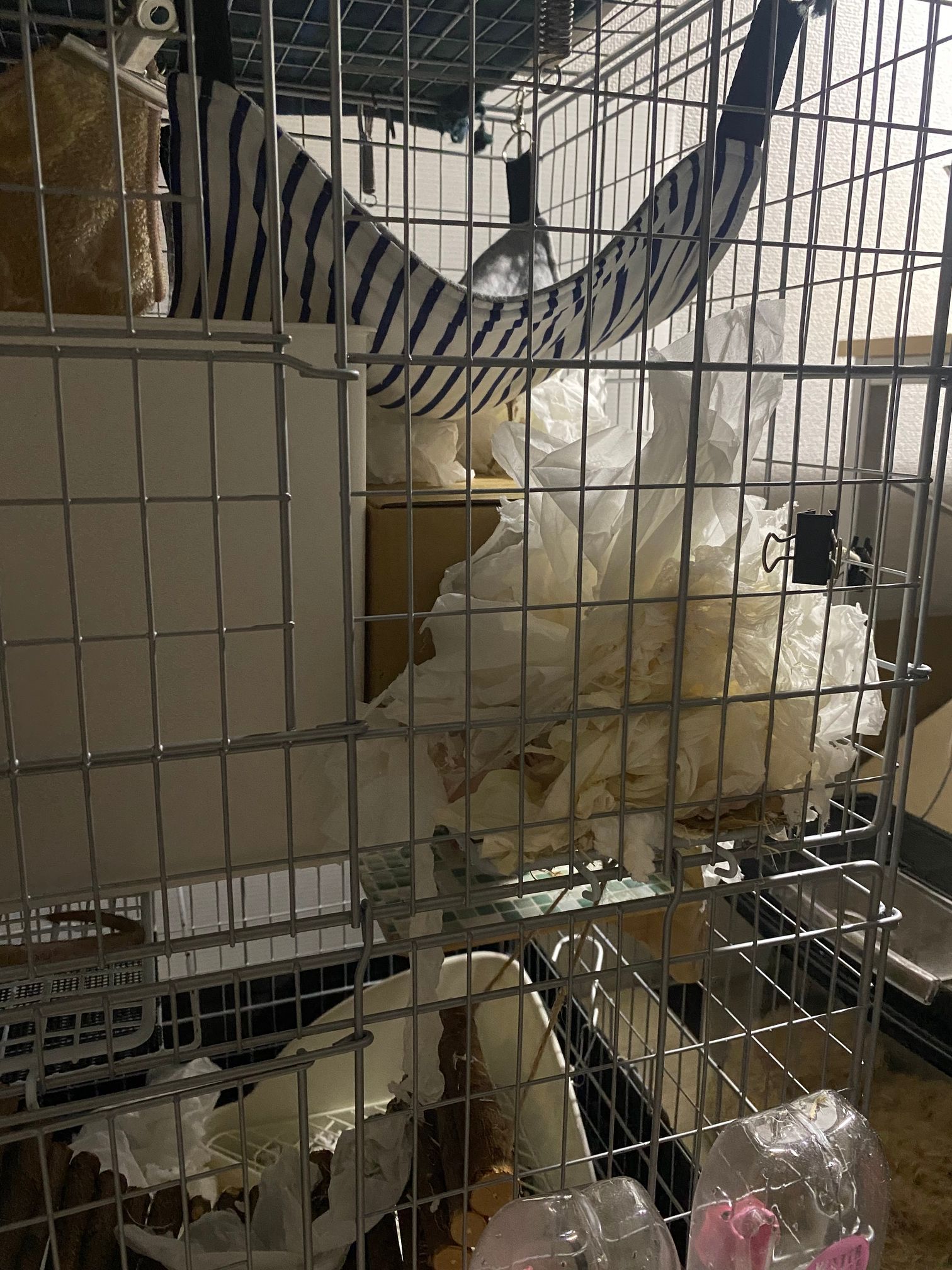 段ボールハウスの前で爆発してるティッシュ