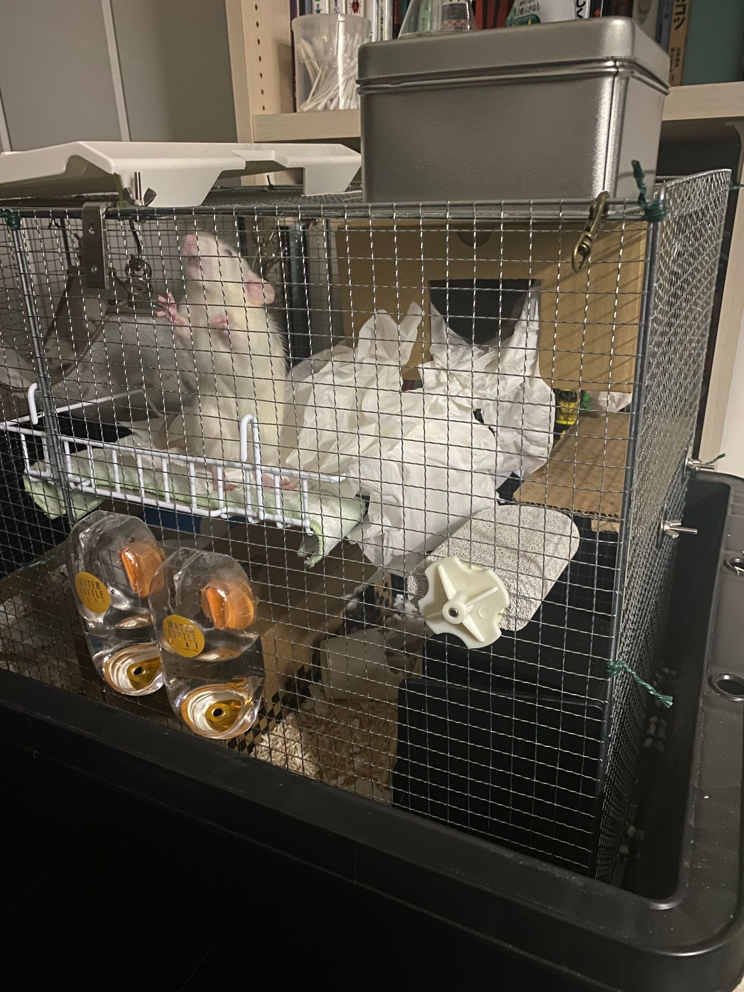 段ボールハウスと足場の間に積まれたティッシュ