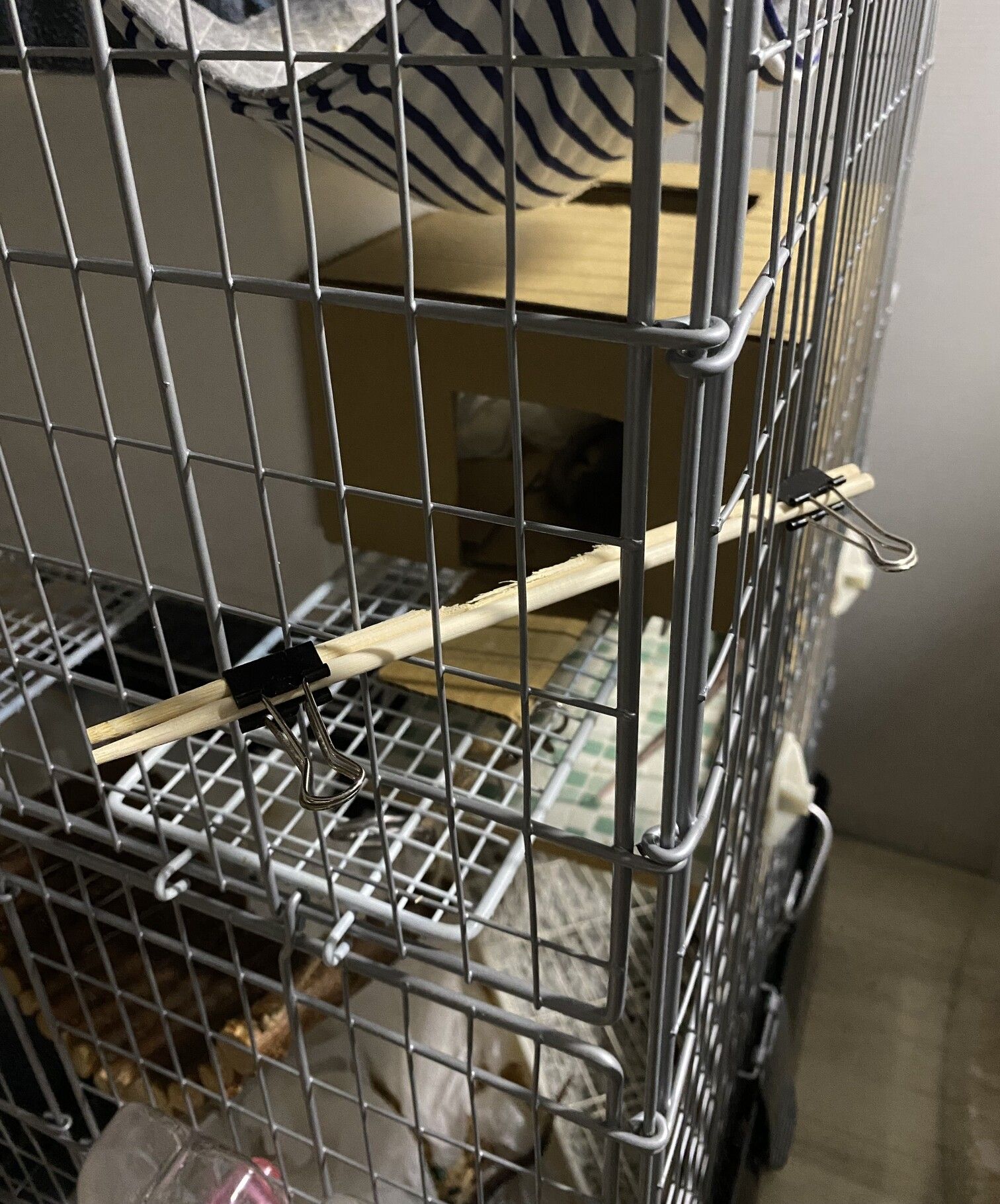 ケージの隅に設置した割り箸