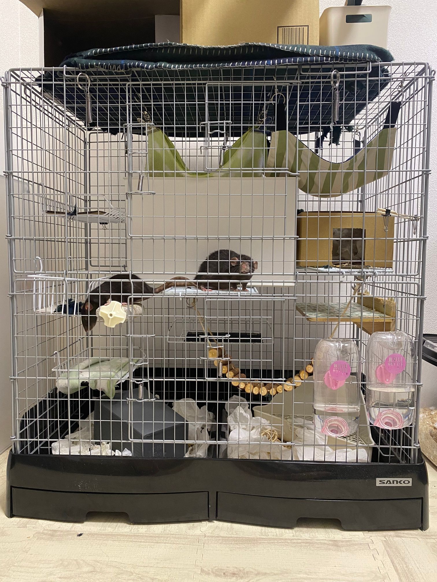 今のイージーホーム80ハイのレイアウト