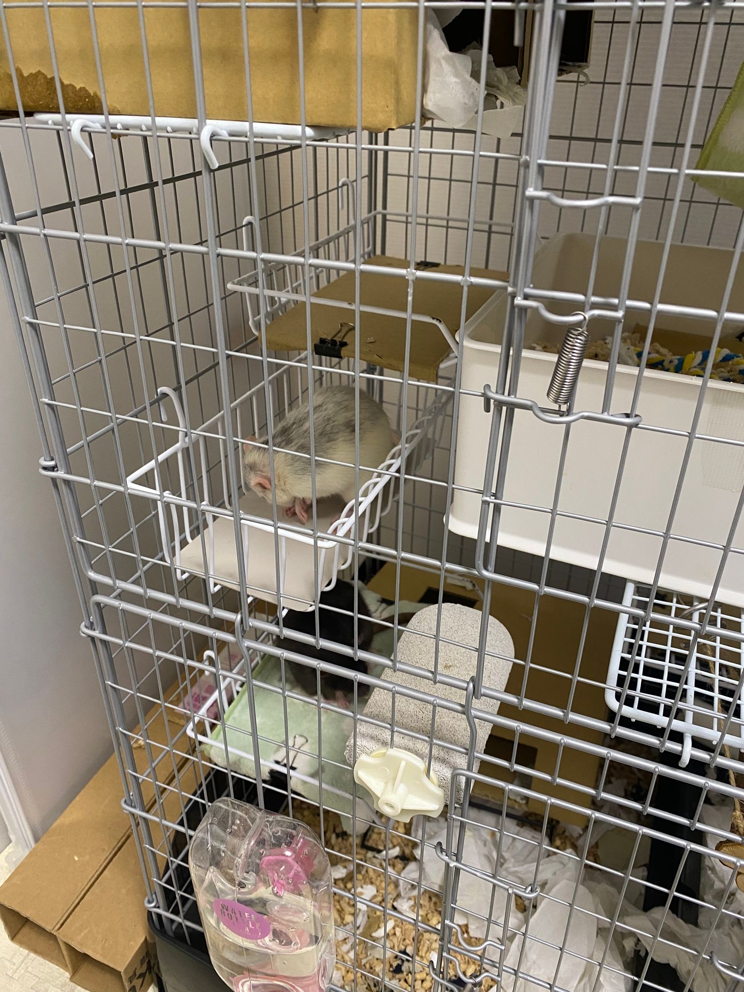 今のイージーホーム80ハイの左側の様子