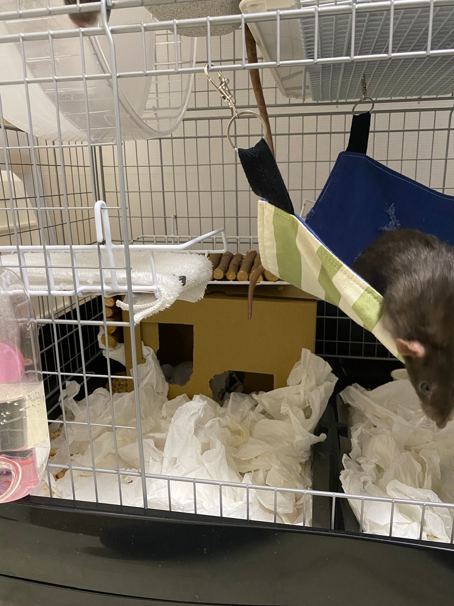 今のイージーホーム80ハイのレイアウト 左下