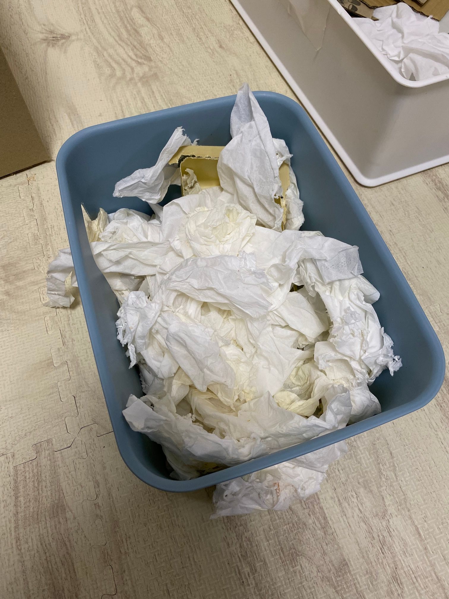 プラスチック隠れ家の中身 ネズミくさくさティッシュ